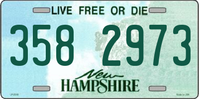 NH license plate 3582973