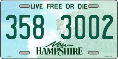 NH license plate 3583002