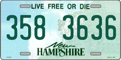 NH license plate 3583636