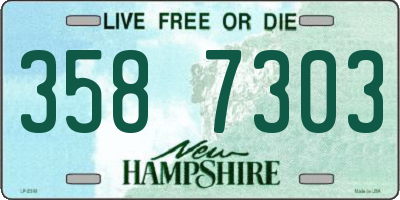 NH license plate 3587303