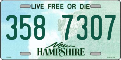 NH license plate 3587307