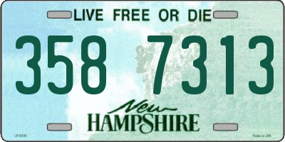 NH license plate 3587313