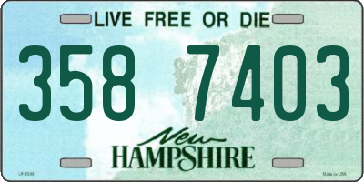 NH license plate 3587403