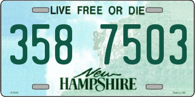 NH license plate 3587503