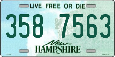 NH license plate 3587563