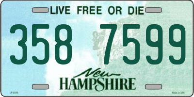 NH license plate 3587599