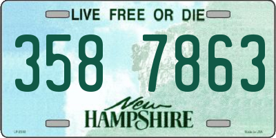 NH license plate 3587863