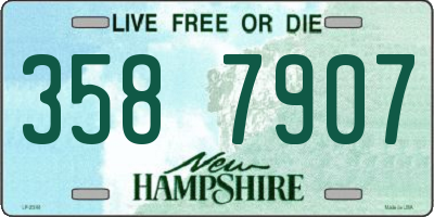 NH license plate 3587907