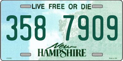 NH license plate 3587909