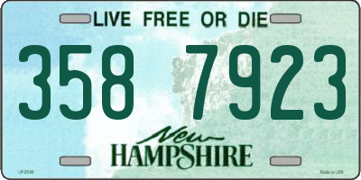 NH license plate 3587923