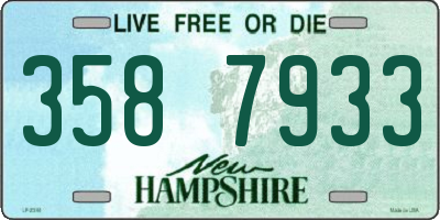 NH license plate 3587933