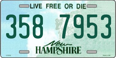 NH license plate 3587953