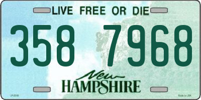 NH license plate 3587968