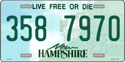 NH license plate 3587970