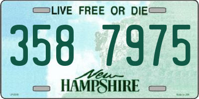 NH license plate 3587975