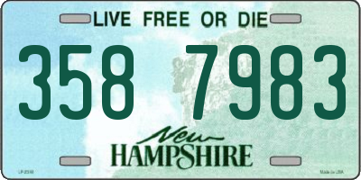 NH license plate 3587983