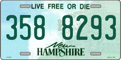 NH license plate 3588293