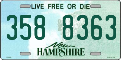 NH license plate 3588363