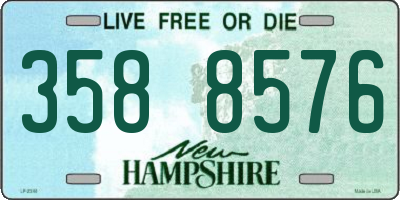 NH license plate 3588576