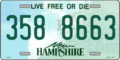 NH license plate 3588663