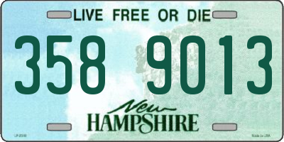 NH license plate 3589013