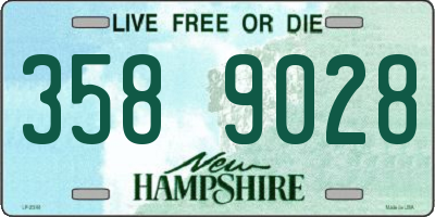 NH license plate 3589028