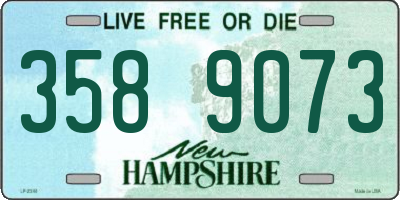NH license plate 3589073