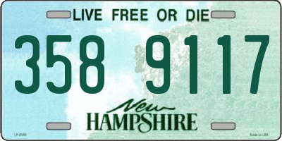 NH license plate 3589117