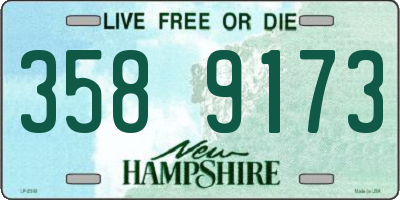NH license plate 3589173