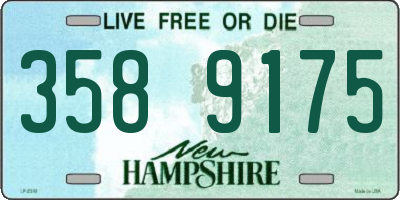NH license plate 3589175