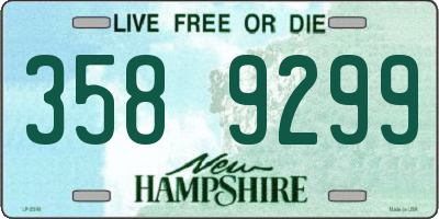 NH license plate 3589299