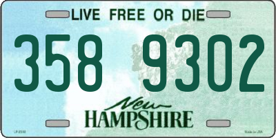 NH license plate 3589302