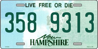 NH license plate 3589313