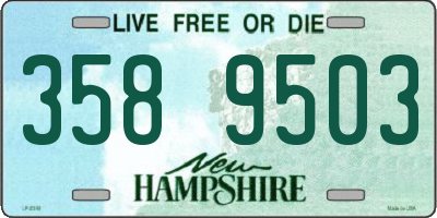 NH license plate 3589503