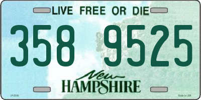 NH license plate 3589525