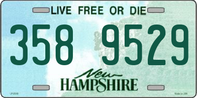 NH license plate 3589529