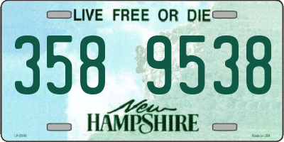 NH license plate 3589538