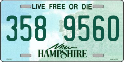 NH license plate 3589560