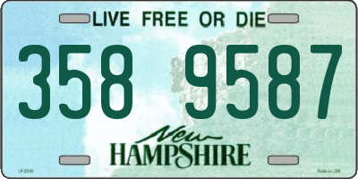 NH license plate 3589587