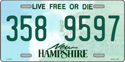 NH license plate 3589597
