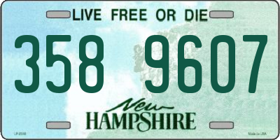 NH license plate 3589607