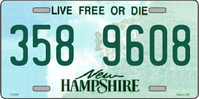 NH license plate 3589608