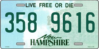 NH license plate 3589616
