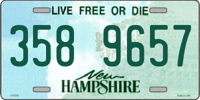 NH license plate 3589657