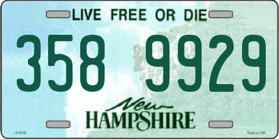 NH license plate 3589929