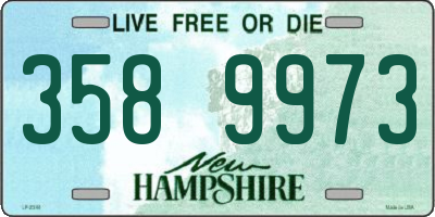 NH license plate 3589973