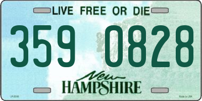 NH license plate 3590828