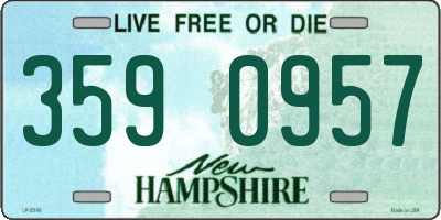 NH license plate 3590957