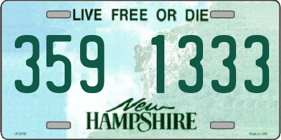 NH license plate 3591333