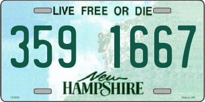 NH license plate 3591667